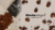 Imagem do banner rotativo MONTE ALEGRE CAFES ESPECIAIS