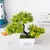 Imagem do Mini Zen Bonsai – Planta Artificial Decorativa com Vaso