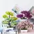 Mini Zen Bonsai – Planta Artificial Decorativa com Vaso - loja online
