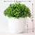 Mini Zen Bonsai – Planta Artificial Decorativa com Vaso