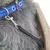 PetTravel CozyBag – Bolsa Confortável com Alça Ajustável e Almofada Interna