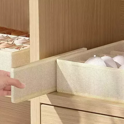 Organiza Íntima – Caixa Organizadora de Lingerie, Meias e Sutiãs - comprar online