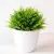 Mini Zen Bonsai – Planta Artificial Decorativa com Vaso - Mimos Pet