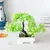 Mini Zen Bonsai – Planta Artificial Decorativa com Vaso - Mimos Pet