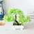 Mini Zen Bonsai – Planta Artificial Decorativa com Vaso