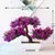 Mini Zen Bonsai – Planta Artificial Decorativa com Vaso - loja online