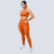 CALÇA COM CÓS ALTO - HOBBY FIT