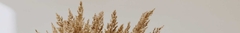 Banner da categoria Autorais Exclusivos