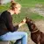 Colar Pet Antiansiedade à Prova d'Água – Ajustável para Cães e Gatos - MD Shop