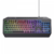 Imagen de TECLADO GAMER TRUST EVOCX ES GXT 836