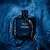BLEU DE CHANEL en internet