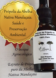 Extrato de Própolis da Abelha Mandaçaia 30ml 100% Natural. Frasco Conta-Gotas. Saúde e Preservação. - comprar online