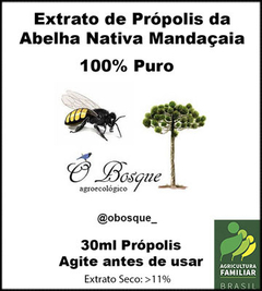 Extrato de Própolis da Abelha Mandaçaia 30ml 100% Natural. Frasco Conta-Gotas. Saúde e Preservação. na internet