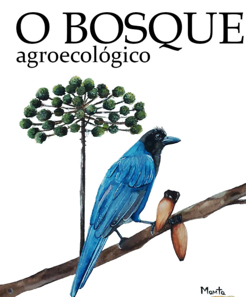 O Bosque Agroecológico
