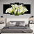 Calas Blancas - XXL (150 cm x 70 cm) - comprar online