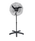 Ventilador Coluna Tron Pedestal Bivolt 60cm C1 At Preto Diâmetro 60 Cm Frequência 60 Material Das Pás Plástico Quantidade De Pás 3 110v/220v