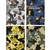 Caderno Hide 20 Materias Capa Dura 320 Folhas - Tilibra - comprar online
