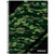 Caderno Espiral Universitario Strong 20x1 320 Fls Capa 2026 - Loja do Kadu