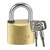 Imagem do Cadeado Pado LT-T50 Latão Tetra 50mm Dourado Com 2 Chaves