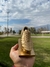 Imagen de Bota De Oro Trofeo Decorativo