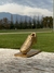Bota De Oro Trofeo Decorativo en internet