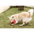 Brinquedo Interativo Gira Roller Snax Para Cães Germanhart - comprar online