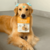 Petisco saudável Just Peito de Frango 75g Para Cães Germanhart na internet