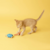 BRINQUEDO FATCAT CRACKLER ESQUILO MARROM PARA GATOS na internet