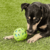 BRINQUEDO BOLA CRACKLE BALL LG JW VERDE PARA CÃES na internet