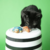 BRINQUEDO FATCAT CRACKLER ESQUILO MARROM PARA GATOS - Pata Certa Pet