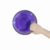 COMEDOURO INOX PRESTIGE ROXO 850ML PARA CÃES E GATOS GERMANHART - loja online