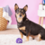 BRINQUEDO BOLA HOLEE ROLLER P JW ROXO PARA CÃES na internet