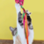 BRINQUEDO JWC FOOTBALL WITH STREAMER PARA GATOS - loja online