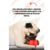 Brinquedo Bola Maluca SpinBall Snax Para Cães Germanhart na internet