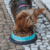 COMEDOURO INOX DUAL AZUL M 450ML PARA CÃES E GATOS GERMANHART - loja online