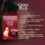 GranPlus Choice HIGH PREMIUM Sabor Frango & Carne 22% Proteína Bruta - Alimento para Cães Adultos - Fonseca Petshop