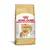 Ração Royal Canin Pomeranian SUPER PREMIUM Cães Adultos 24% Proteína Bruta - comprar online