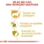 Ração Royal Canin Yorkshire Terrier Adult SUPER PREMIUM Cães Adultos 26% Proteína Bruta na internet
