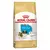 Ração Royal Canin Puppy Shih Tzu Cães Filhotes SUPER PREMIUM 24% Proteína Bruta - comprar online
