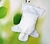 Rollo de Hojas de Bamboo - comprar en línea