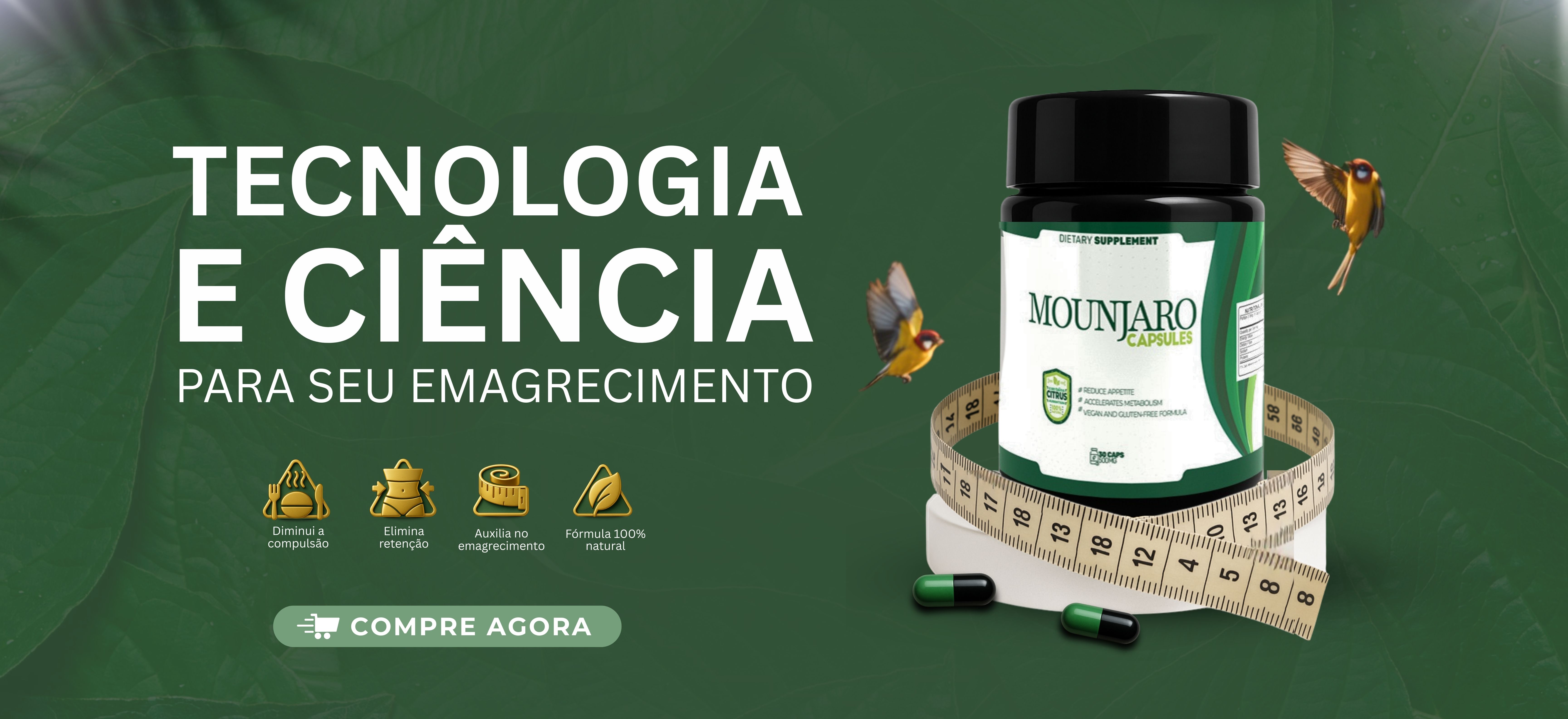 Banner de Erla naturais