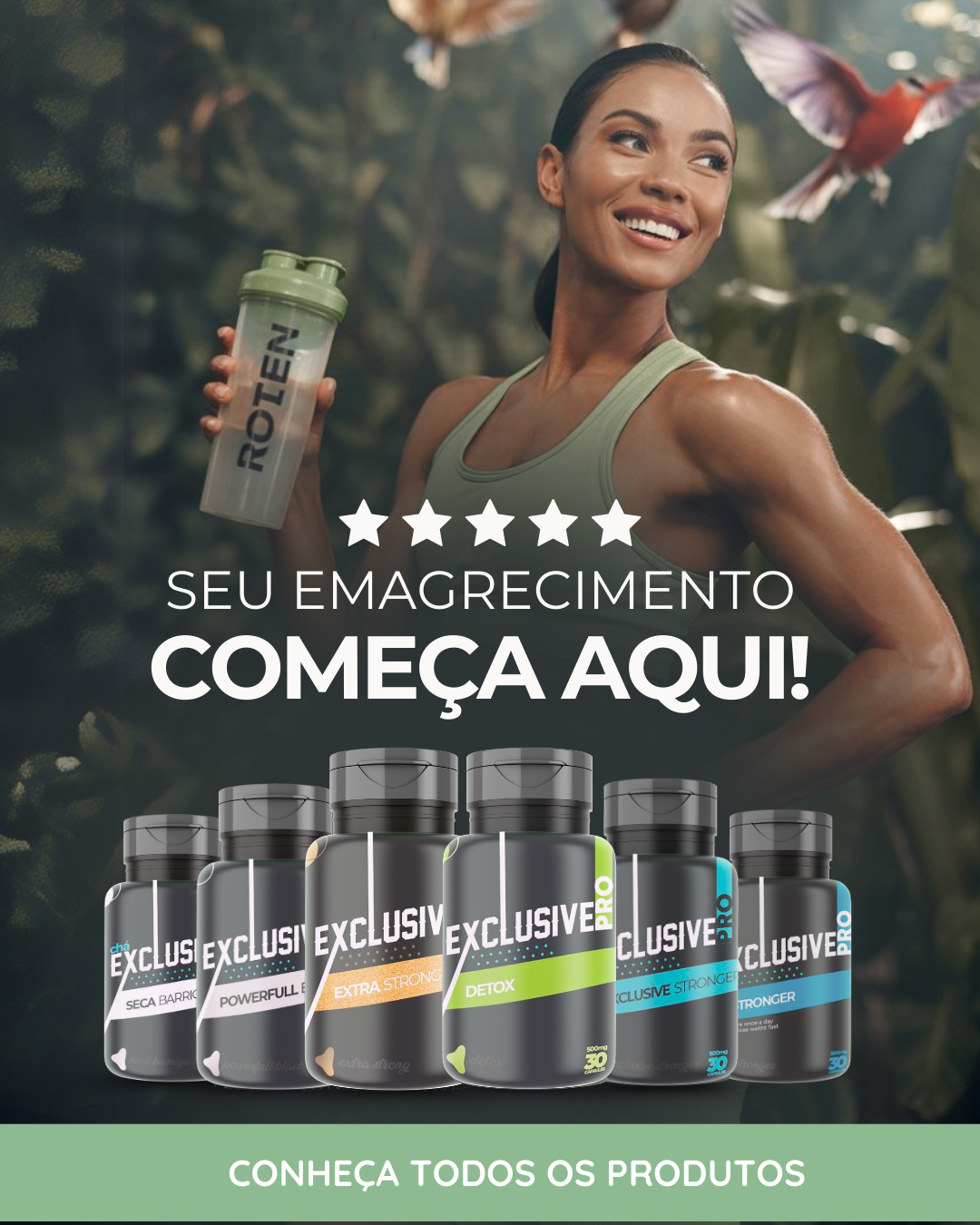 Carrossel 1