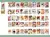 Adesivos Kawaii Fada & Animal – 50 Unid | Papelaria Fofa para Diário, Scrapbook e Artesanato DIY - comprar online