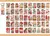 Adesivos Kawaii Fada & Animal – 50 Unid | Papelaria Fofa para Diário, Scrapbook e Artesanato DIY na internet