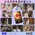 Photocards Até o Fim da Lua – Kit Cute com 10 pcs de Luo Yunxi & Bai Lu