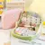 Organizador Kawaii Multiuso de Grande Capacidade - Sarang Pop