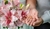Buquê de Noiva - Lírios e Rosas - comprar online