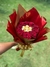 Buquê Lua Flores - comprar online