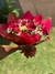 Buquê 12 Rosas Colombianas - comprar online