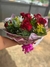 Buquê 6 Rosas Colombianas - comprar online